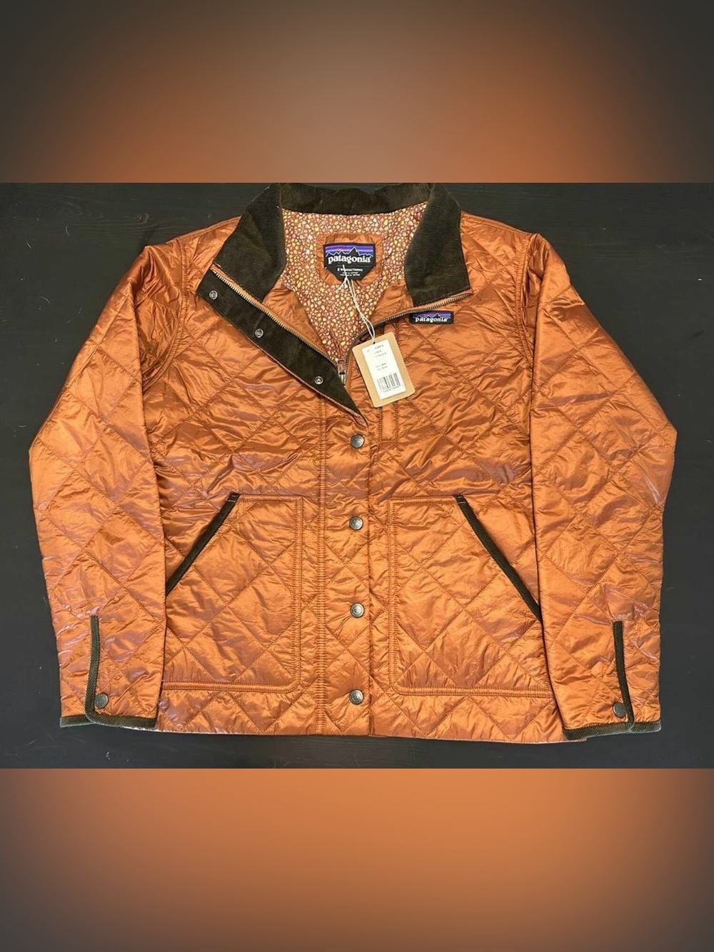 Patagonia Women’s Back Pasture Jacket Size S